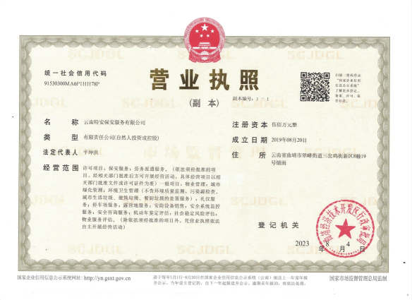 公司证件照